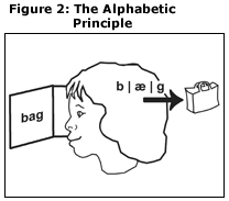 El principio alfabético: ilustración de un niño que lee la palabra “bag” y comprende los fonemas que componen la palabra. En la cabeza del niño se encuentran los sonidos de la palabra bag y al lado de la cabeza del niño hay un dibujo de una bolsa. El niño visualiza lo que significa “bag” para que las letras, los sonidos y el significado estén conectados.